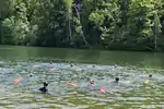 20250617-132625.jpeg