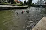 IMG-1941.jpeg