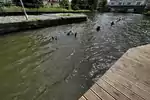 IMG-1943.jpeg