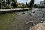 IMG-1944.jpeg