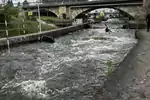 IMG-2220.jpeg