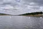 IMG-20260802-113043-8.jpeg