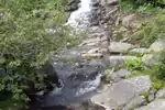 DSC03436.png